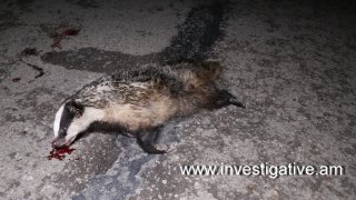 Семеро молодых людей стали жертвами автоаварии. Возбуждено уголовное дело(фото)