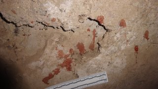 False information provided to public (Photos)