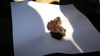 Two IRI Citizens, Charged with Illegal Procurement, Keeping and Selling of Narcotic Drugs, Detained (photos, video)