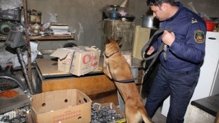 ԻԻՀ  երկու քաղաքացի կալանավորվել է՝ ապօրինի կերպով թմրամիջոց ձեռք բերելու, պահելու և իրացնելու մեղադրանքով (լուսանկարներ, տեսանյութ)