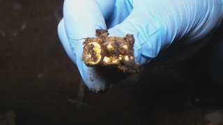 Քննչական կոմիտեի Էրեբունու բաժնի ծառայողները բացահայտել են 14 տարի առաջ կատարված սպանություն. մեկ անձ ձերբակալվել է (լուսանկարներ)