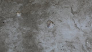 7 more Criminal Cases Initiated on Gross Violations of Ceasefire, Firing Shots towards a Number of Settlements of Tavush Province, Armenian Military Bases with Weapons of Several Calibers by Armed Forces of Azerbaijan