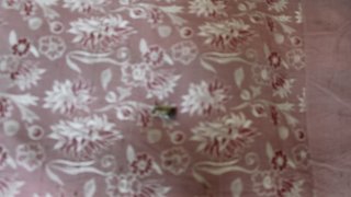 По факту грубого нарушении ВС Азербайджана режима прекращения огня, обстрелов из вооружения различного калибра мирного населения ряда населенных пунктов Тавушской области, армянских боевых опорных пунктов в СК РА возбуждено еще 7 уголовных дел(фотографии)