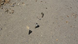 По факту грубого нарушении ВС Азербайджана режима прекращения огня, обстрелов из вооружения различного калибра мирного населения ряда населенных пунктов Тавушской области, армянских боевых опорных пунктов в СК РА возбуждено еще 7 уголовных дел(фотографии)