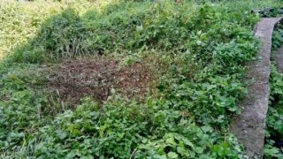 40 Year-Old Resident of Berd Town Arrested within Criminal Case at Administrative Building of Tavush Division of Tavush Regional Department of RA Police (photos)