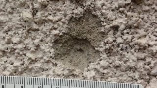 ՀՀ ոստիկանության Տավուշի մարզային վարչության Տավուշի բաժնի վարչական շենքի մոտ տեղի ունեցած պայթյունի գործով ձերբակալվել է Բերդ քաղաքի 40-ամյա բնակիչը (լուսանկարներ)