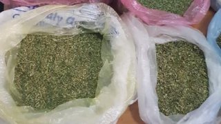 Բացահայտվել է առանձնապես խոշոր չափերով թմրամիջոցների ապօրինի շրջանառությամբ զբաղվող կազմակերպված խումբ. 8 անձի մեղադրանք է առաջադրվել (լուսանկարներ) 