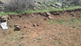 Criminal Case Initiated (photos)