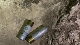 Arrested on Suspicion of his Nephew’s Murder