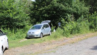 Հայտնաբերվել է դի՝ ծառից կախված վիճակում (լուսանկարներ)