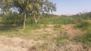 Նորաշենի բնակիչը ձերբակալվել է՝ համագյուղացու նկատմամբ սպանության փորձ կատարելու կասկածանքով (լուսանկարներ)