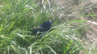 Resident of Norashen Arrested on Suspicion of Committing Murder Attempt against Fellow-Villager (photos)