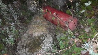 «ՈւԱԶ»-ը, կորցնելով կառավարումը, հայտնվել է ձորում. կա մեկ զոհ (լուսանկարներ)