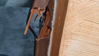 25-ամյա երիտասարդը ձերբակալվել է՝ մորեղբորն սպանելու կասկածանքով (լուսանկարներ)