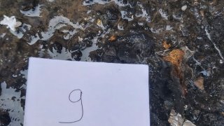 Murder Attempt in Vedi; Criminal Case Initiated (photos)