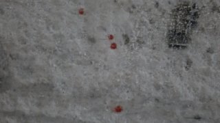 Resident of Ejmiatsin Arrested on Suspicion of Stabbing Fellow-Citizen (photos)