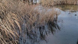 Ավարտվել է 25-ամյա երիտասարդին անզգուշությամբ մահ պատճառելու դեպքի առթիվ հարուցված քրեական գործի նախաքննությունը (լուսանկարներ)