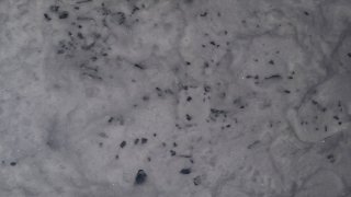 Житель села Лорут задержан по подозрению в убийстве односельчанина (фото)