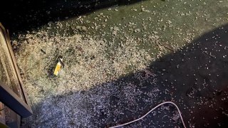 Житель Норатуса арестован по обвинению в умышленном причинении тяжкого вреда здоровью двух молодых людей в ночном клубе (фото)