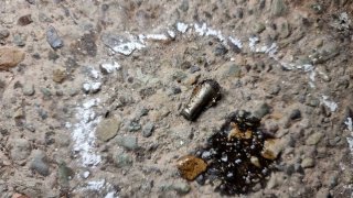 Задержание по подозрению в совершении хулиганства с применением оружия в городе Севан (видео, фото)