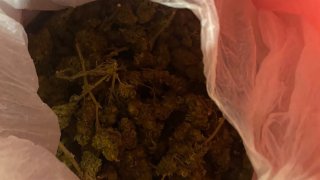 Another Case of Illegal Turnover of Narcotic Drugs in Particularly Large Amount Disclosed; One Person Detained (photos)