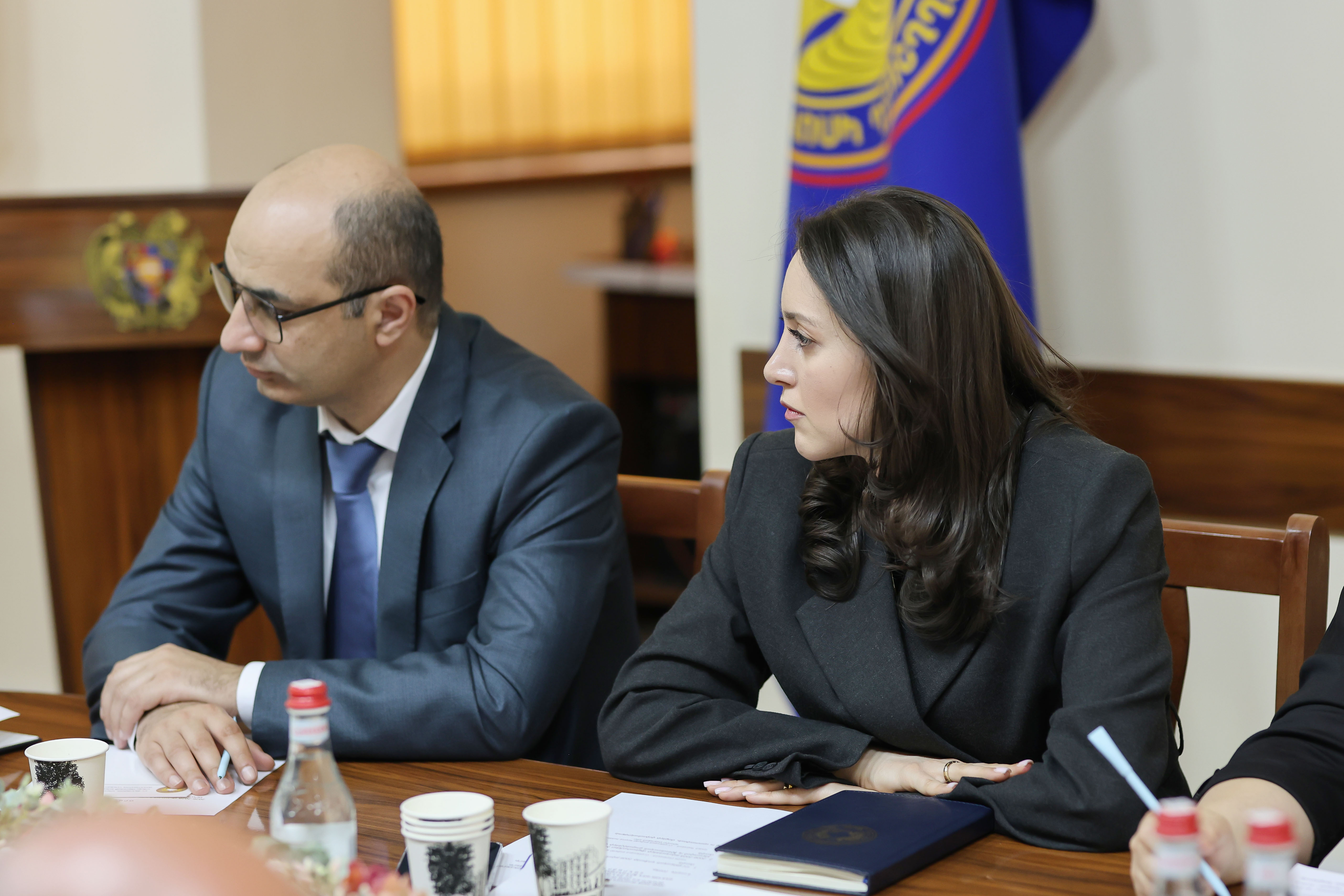 2026-2028 թվականների միջնաժամկետ ծախսային ծրագրի և 2026 թվականի բյուջետային հայտի նախագծերի հանրային քննարկում ՀՀ քննչական կոմիտեում