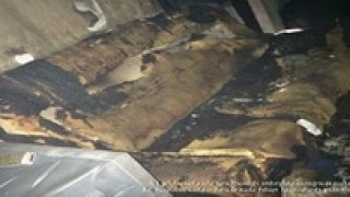 Քննությամբ պարզվել է, որ մայրը մուրճով հարվածներ է հասցրել դեռահաս որդու գլխին. Արարքը որակվել է սպանության փորձ. Նոր մանրամասներ (Լուսանկարներ)