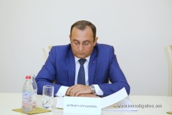 Consultation on issues of criminal-legal protection monuments of historical and cultural value held in RA Investigative Committee (Photos)