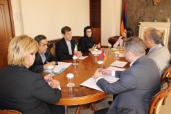 IC Deputy Chairman received Chargé d'Affaires of IRI Embassy in Armenia (photos)