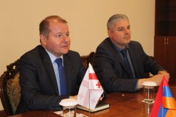 IC Deputies Chairman Received Georgian Consul in Republic of Armenia (photos)