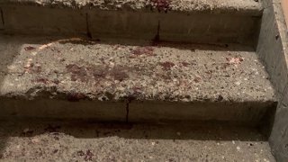 Shots in Yerevan; Criminal Case Initiated (photos)