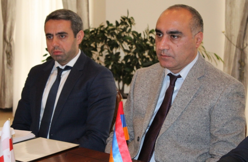 IC Deputies Chairman Received Georgian Consul in Republic of Armenia (photos)