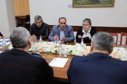 Meeting of Public Monitoring Group Held at RA Investigative Committee (photos)