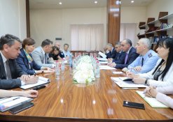 IC Deputies Chairman Received Representatives of OSCE Expert Group (photos)