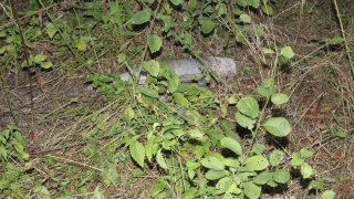 30 Criminal Cases Initiated in RA Investigative Committee on Violation of Ceasefire and Firing Shots towards Peaceful Civilians from several Weapons by Armed Forces of Azerbajan