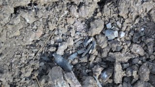 30 Criminal Cases Initiated in RA Investigative Committee on Violation of Ceasefire and Firing Shots towards Peaceful Civilians from several Weapons by Armed Forces of Azerbajan