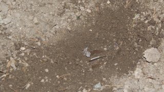 30 Criminal Cases Initiated in RA Investigative Committee on Violation of Ceasefire and Firing Shots towards Peaceful Civilians from several Weapons by Armed Forces of Azerbajan