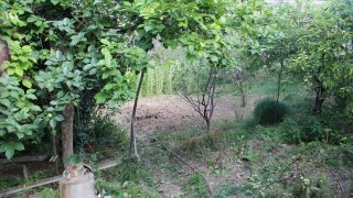 30 Criminal Cases Initiated in RA Investigative Committee on Violation of Ceasefire and Firing Shots towards Peaceful Civilians from several Weapons by Armed Forces of Azerbajan