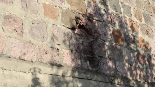 30 Criminal Cases Initiated in RA Investigative Committee on Violation of Ceasefire and Firing Shots towards Peaceful Civilians from several Weapons by Armed Forces of Azerbajan