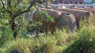 Ադրբեջանի զինված ուժերի կողմից հրադադարի ռեժիմը խախտելու և խաղաղ բնակչության ուղղությամբ տարբեր զինատեսակներից  կրակոցներ արձակելու փաստերով ՀՀ քննչական կոմիտեում հարուցվել է 30 քրեական գործ (լուսանկարներ)