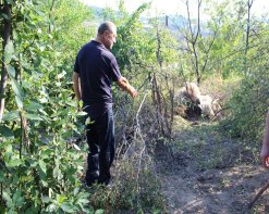 В Следственном комитете РА возбуждены 30 уголовных дел по фактам нарушения вооруженными силами Азербайджана режима прекращения огня и обстрела мирного населения из различных видов вооружения (фотографии)