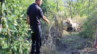 В Следственном комитете РА возбуждены 30 уголовных дел по фактам нарушения вооруженными силами Азербайджана режима прекращения огня и обстрела мирного населения из различных видов вооружения (фотографии)