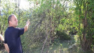 В Следственном комитете РА возбуждены 30 уголовных дел по фактам нарушения вооруженными силами Азербайджана режима прекращения огня и обстрела мирного населения из различных видов вооружения (фотографии)