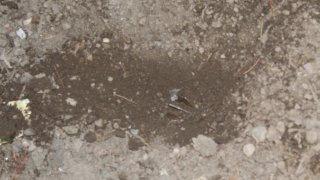 В Следственном комитете РА возбуждены 30 уголовных дел по фактам нарушения вооруженными силами Азербайджана режима прекращения огня и обстрела мирного населения из различных видов вооружения (фотографии)