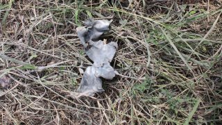 7 more Criminal Cases Initiated on Gross Violations of Ceasefire, Firing Shots towards a Number of Settlements of Tavush Province, Armenian Military Bases with Weapons of Several Calibers by Armed Forces of Azerbaijan