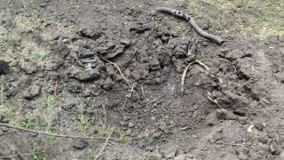 7 more Criminal Cases Initiated on Gross Violations of Ceasefire, Firing Shots towards a Number of Settlements of Tavush Province, Armenian Military Bases with Weapons of Several Calibers by Armed Forces of Azerbaijan