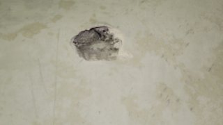 По факту грубого нарушении ВС Азербайджана режима прекращения огня, обстрелов из вооружения различного калибра мирного населения ряда населенных пунктов Тавушской области, армянских боевых опорных пунктов в СК РА возбуждено еще 7 уголовных дел(фотографии)