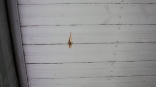 7 more Criminal Cases Initiated on Gross Violations of Ceasefire, Firing Shots towards a Number of Settlements of Tavush Province, Armenian Military Bases with Weapons of Several Calibers by Armed Forces of Azerbaijan