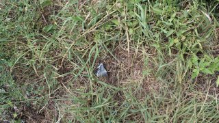 7 more Criminal Cases Initiated on Gross Violations of Ceasefire, Firing Shots towards a Number of Settlements of Tavush Province, Armenian Military Bases with Weapons of Several Calibers by Armed Forces of Azerbaijan