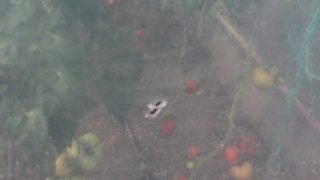 7 more Criminal Cases Initiated on Gross Violations of Ceasefire, Firing Shots towards a Number of Settlements of Tavush Province, Armenian Military Bases with Weapons of Several Calibers by Armed Forces of Azerbaijan